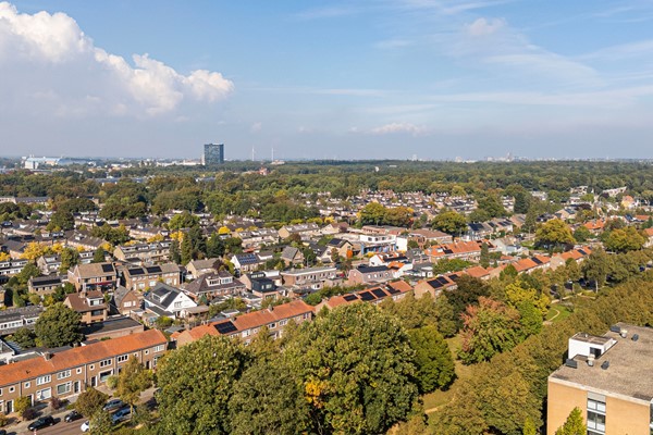 Medium property photo - Treubstraat 156, 6535 ZN Nijmegen